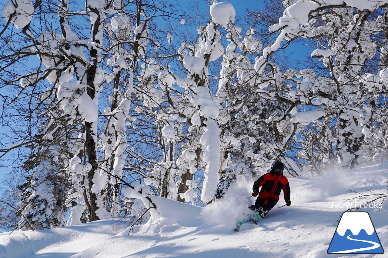 カムイスキーリンクス 今季ICチケット導入＆新装OPENのセンターハウスで快適度アップ☆そして、粉雪が舞い上がる尾形信の『パウダーガイド』!!
